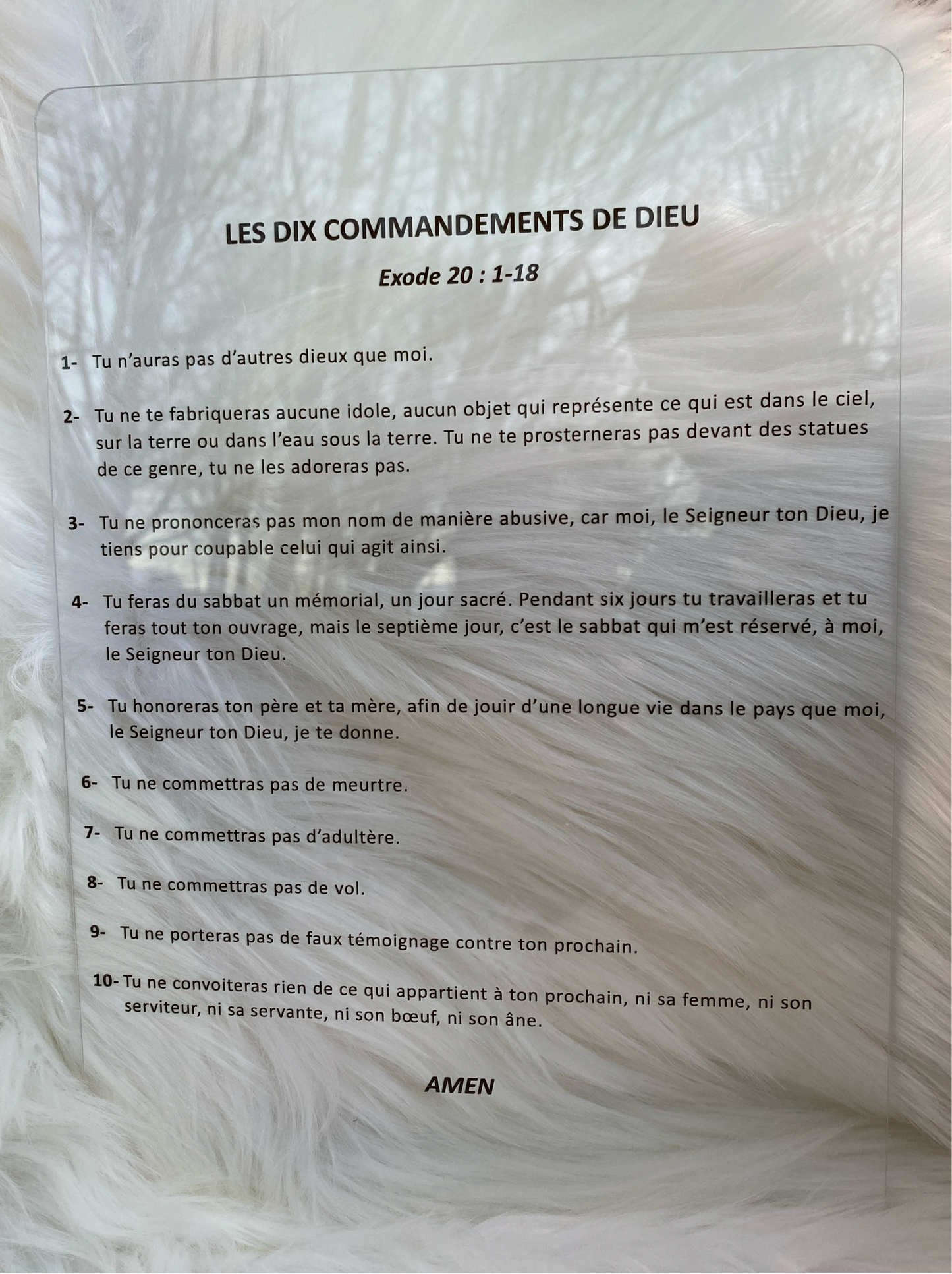 LES DIX COMMANDEMENTS DE DIEU